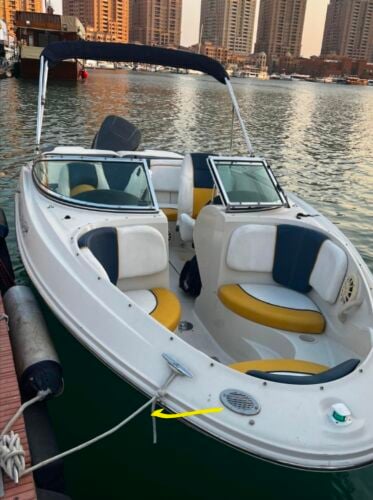 sea ray 18ft, 2007