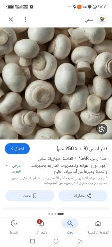 مطلوب مهندس زراعي