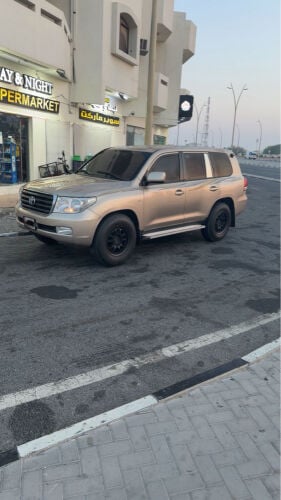 مثد 5 بلوط 