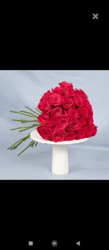 25 prices red roses wholesale