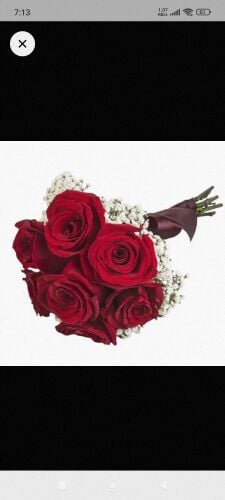 10 prices red roses wholesale