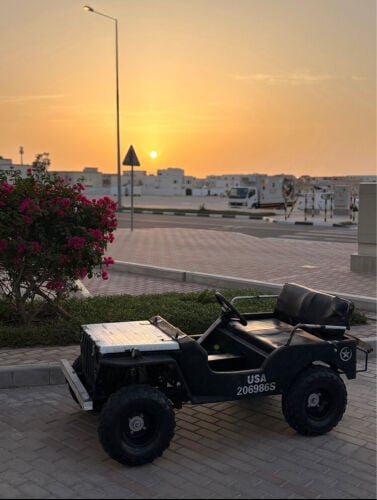 مني جيب