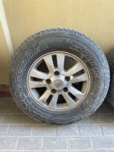 رنقات فكسار ٢٠٠٩