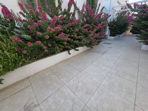 سيليه المعراض مقابل الميره مباشرة