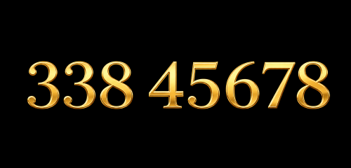 fancy number 338 45678