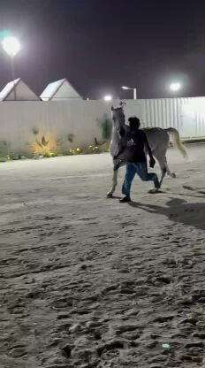 رعد النوف 