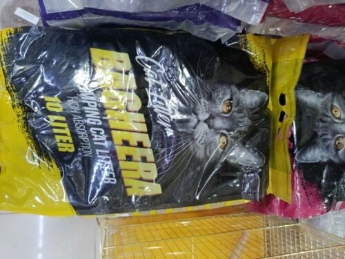 cat litter