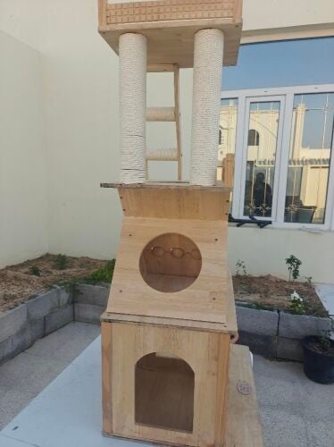 cat tree