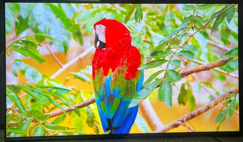 Skyworth Google tv 