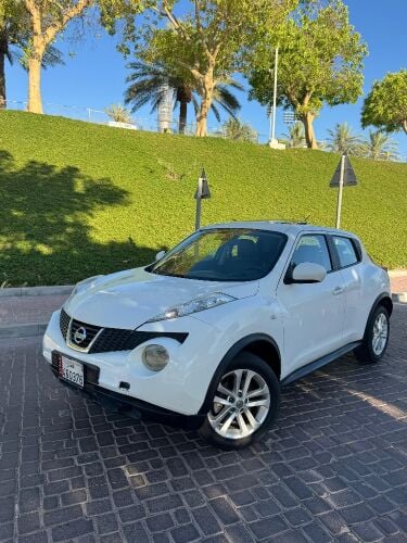 نيسان جوك ٢٠١٤
