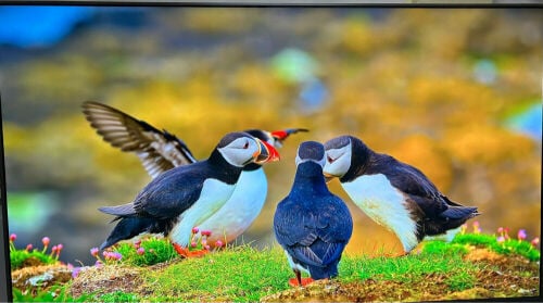 skyworth Qled smart tv 55 inches 