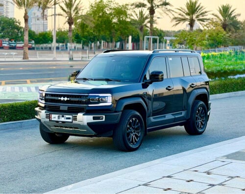 بي واي دي ليوبارد 5 موديل 2024 