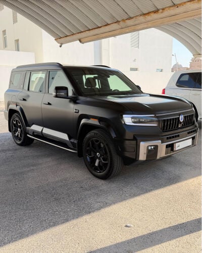 دينزا 8