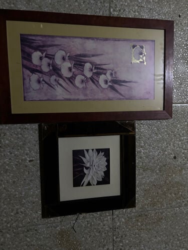 Set of 2 Elegant Wall Frames