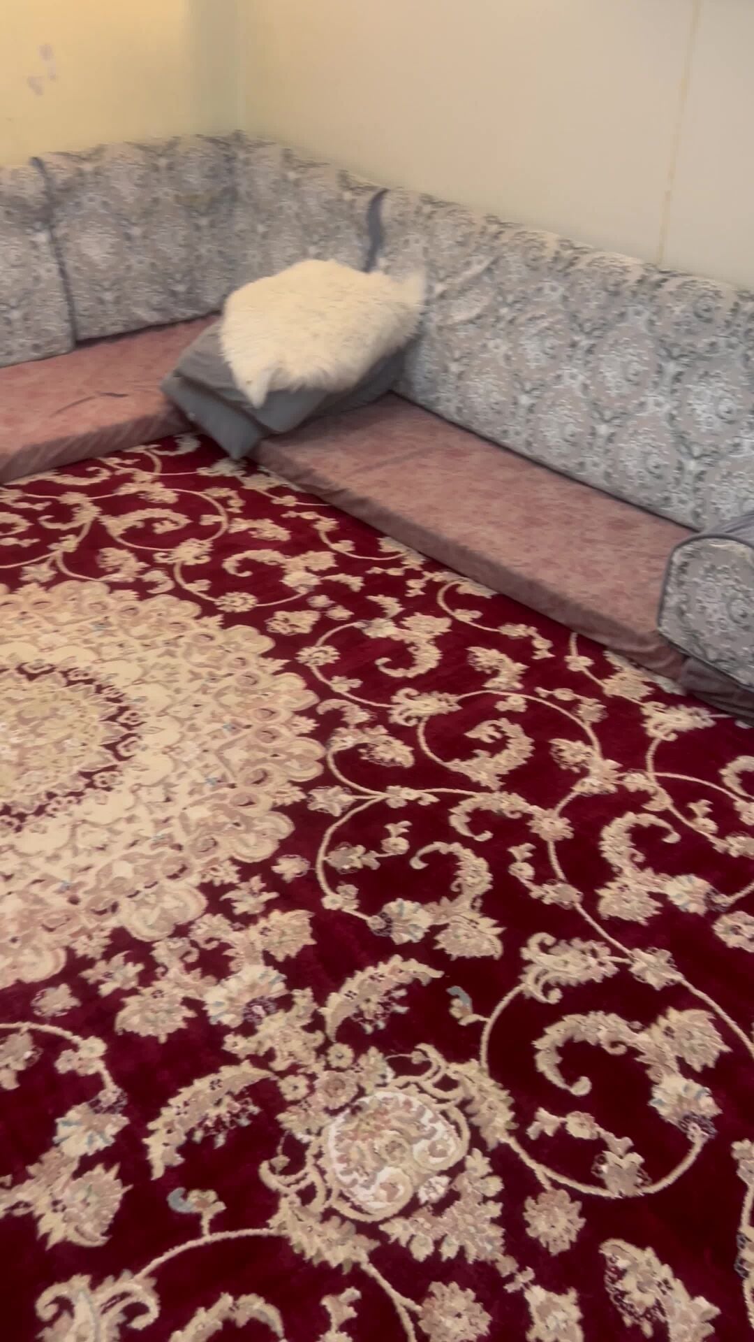 جلسه ظهريات وارضيات
