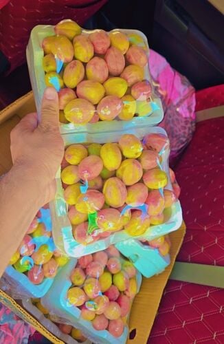 looz & Fresh Dates