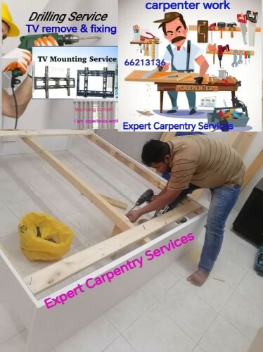 Professional Carpenter