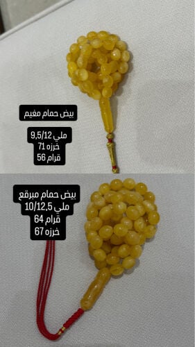 مسباحين بيض حمام مبرقع ومغيم 