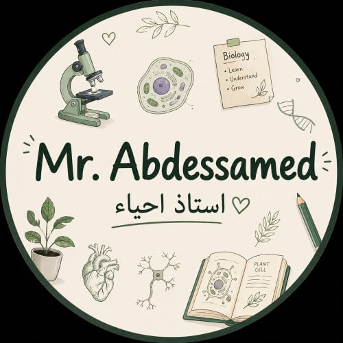 استاذ عبد الصمد 