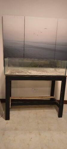 Shallow tank for sale