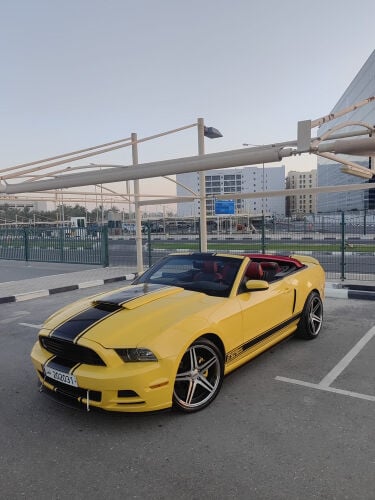 mustang 2013