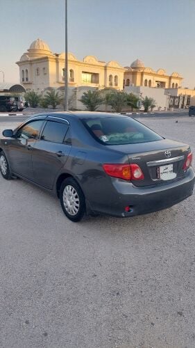 كوريلا ٢٠١٠ نظيفة