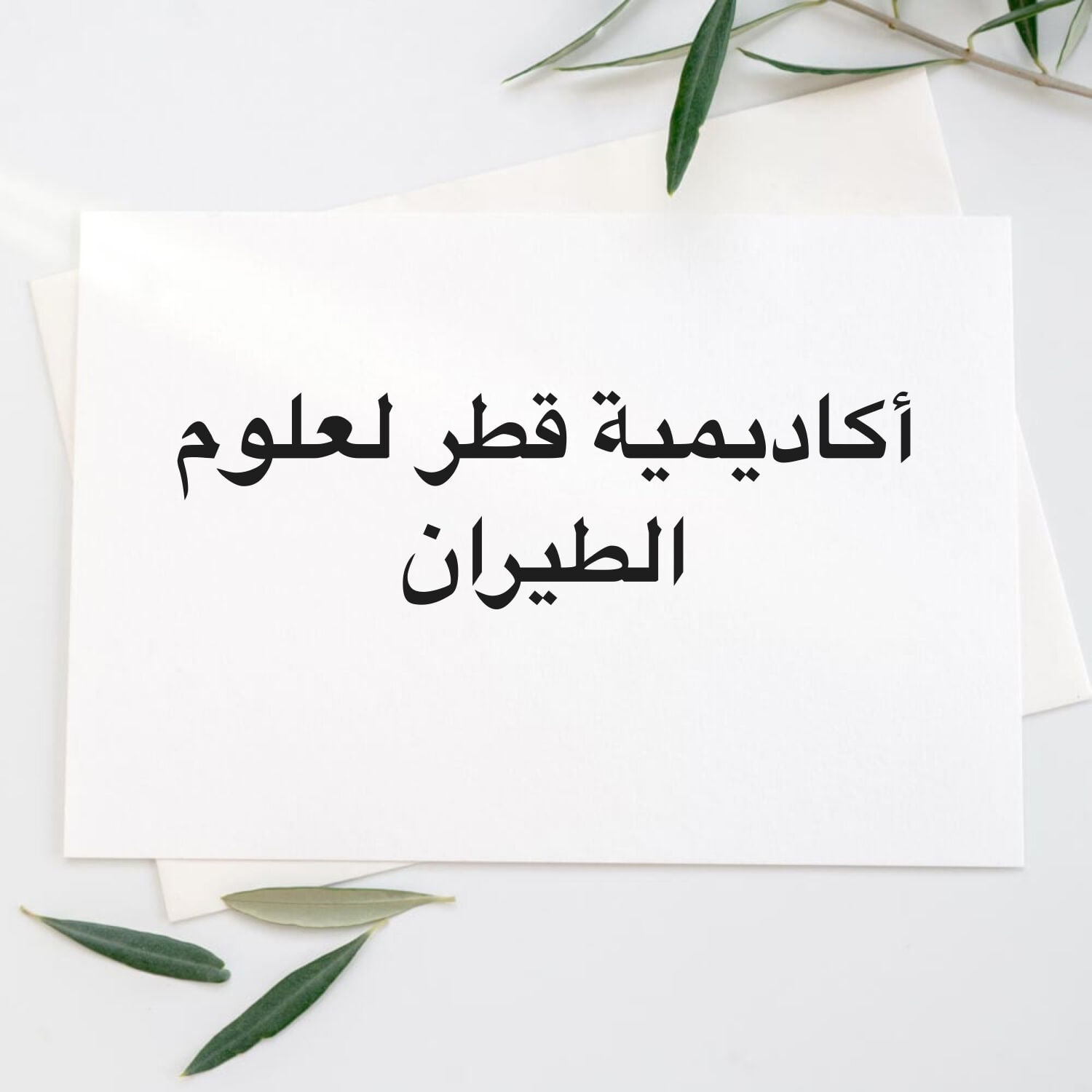 ميكانيكا موائع و ديناميكا طيران