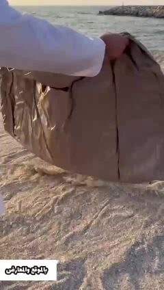 مرتبه رحلات والحدائق وتصلح البحر