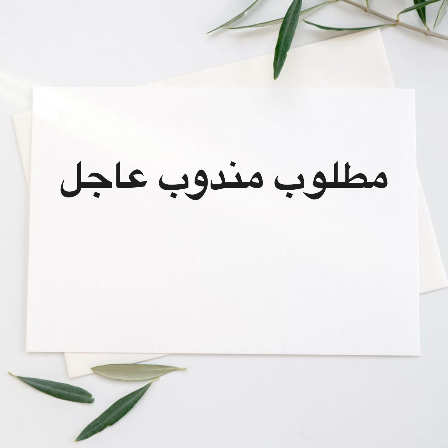 مطلوب مندوب
