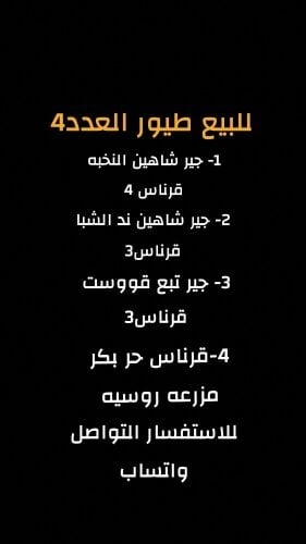 طيور للبيع