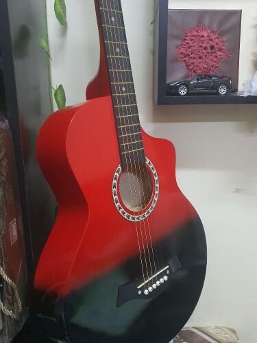 Acoustic Guitar (perfect condition)