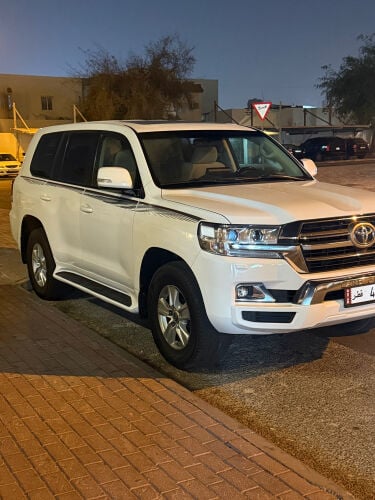 جكسار 19 مالك اول وكاله 