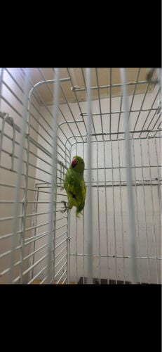 no name