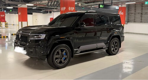 دينزا 8 