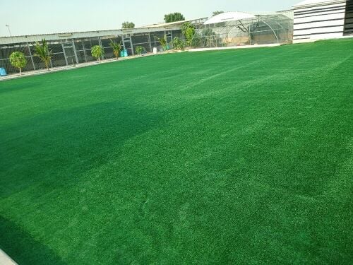 Grass carpet, artificial grass