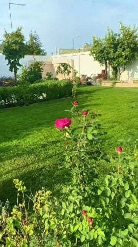 صيانه دوريه للحدائق