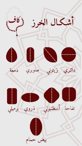 محمد 