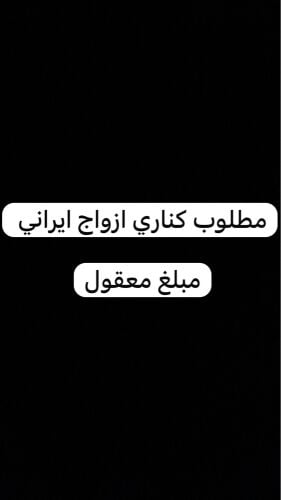 الكناري 