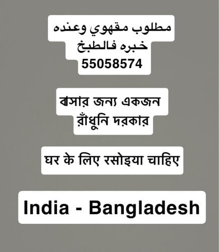 طباخ 