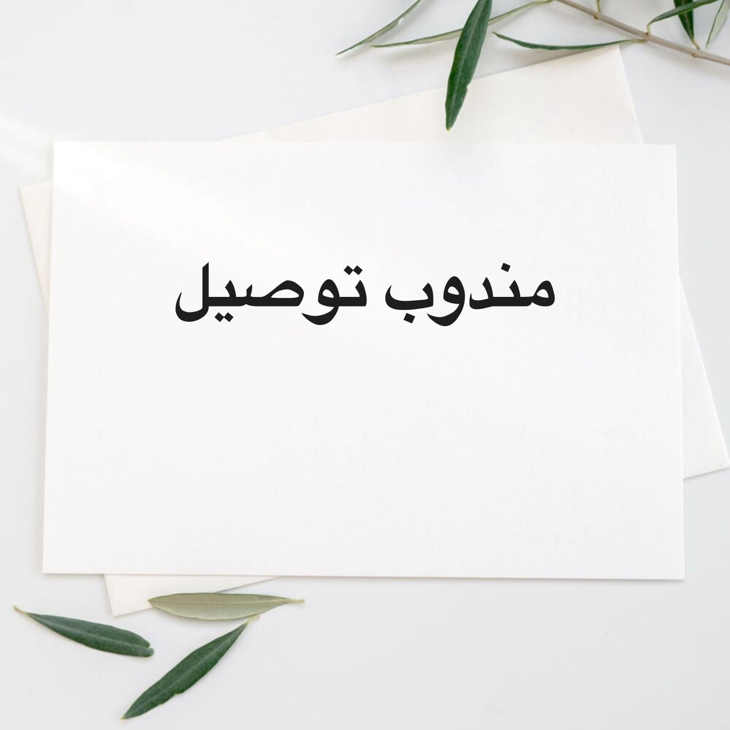 مندوب 