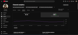 Monetized YouTube Channel for Sale