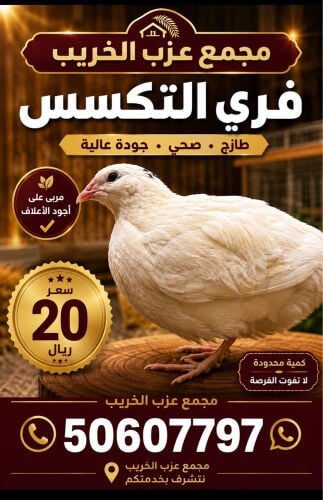 فري 