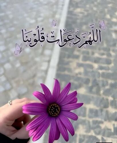 هبه