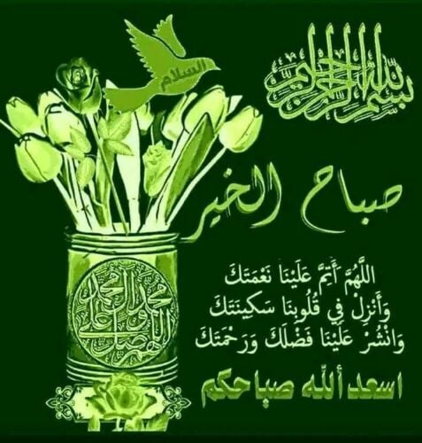 معروض