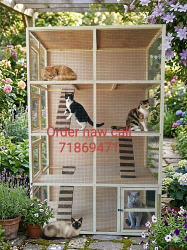 All size Cages available