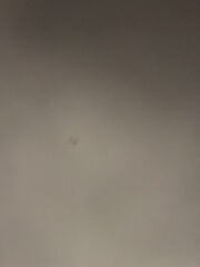 مطلوب سي بوب  سكوتر 