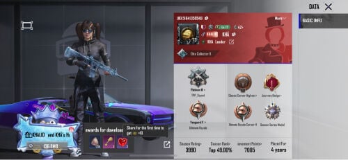 pubg id 