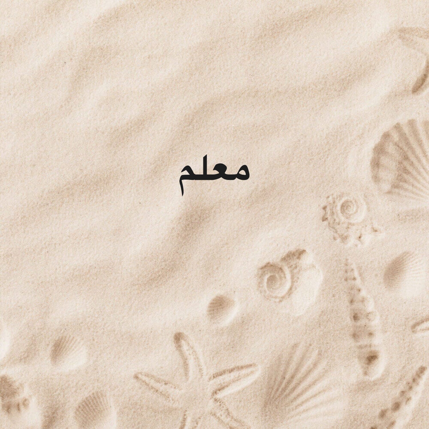 مطلوب معلم مصري 