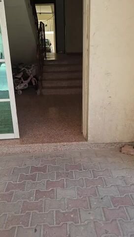 إيجار شقه بنى عمران