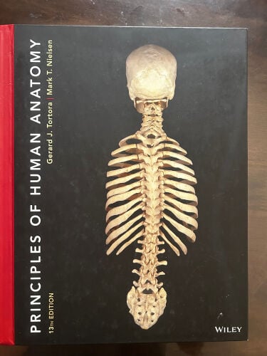“Principles Of Human Anatomy”